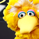 Image for article titled Romney Plans To Make PBS As Dumb As The History Channel